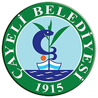 T.C. ÇAYELİ BELEDİYE BAŞKANLIĞI İMAR DURUM BİLGİ SİSTEMİ PROJESİ