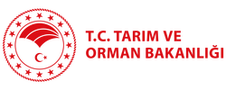 BEYLİKDÜZÜ İLÇE TARIM MÜDÜRLÜĞÜ WEB PORTALİ GELİŞTME PROJESİ